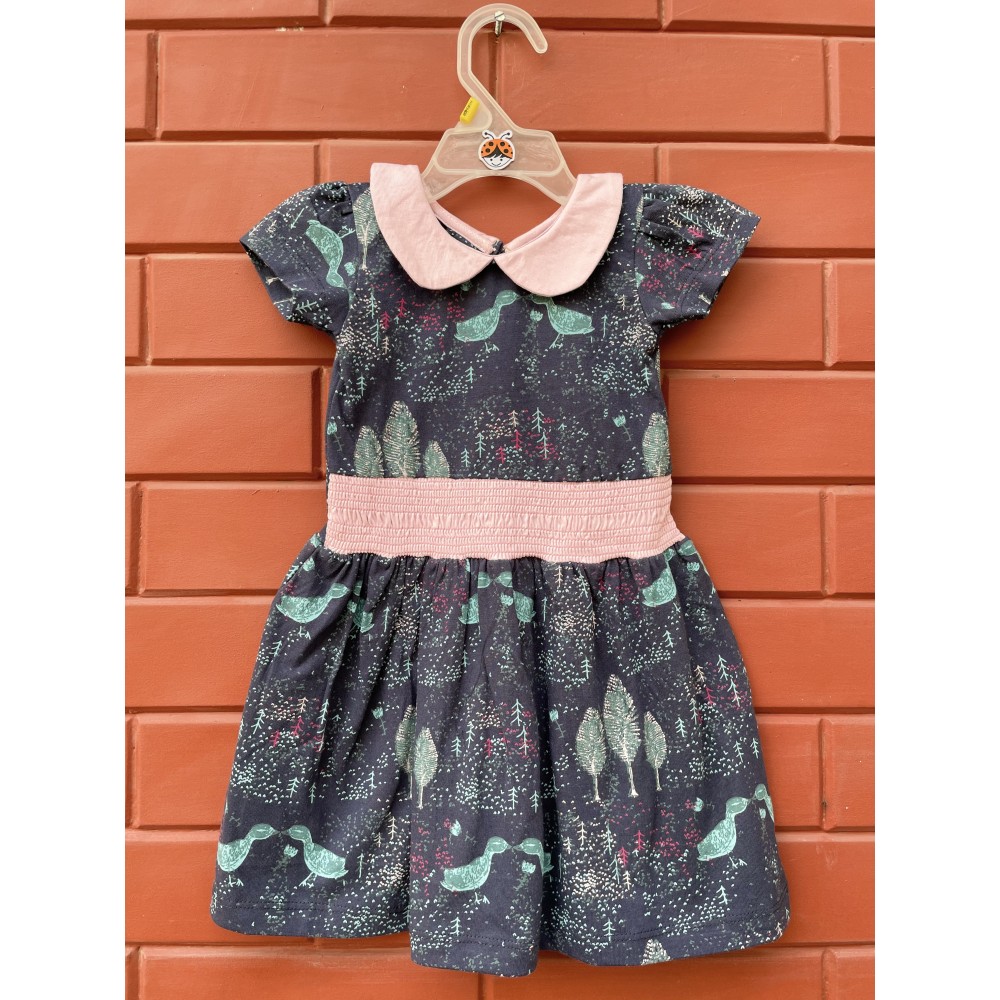 PeterPan Smocking Frock