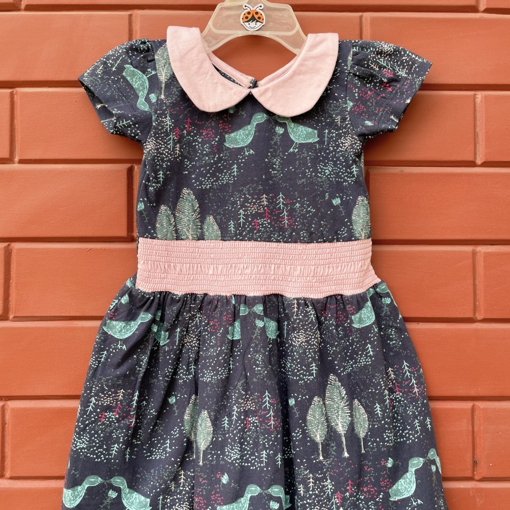 PeterPan Smocking Frock
