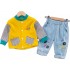 Dino Sweatshirt and Jeans set