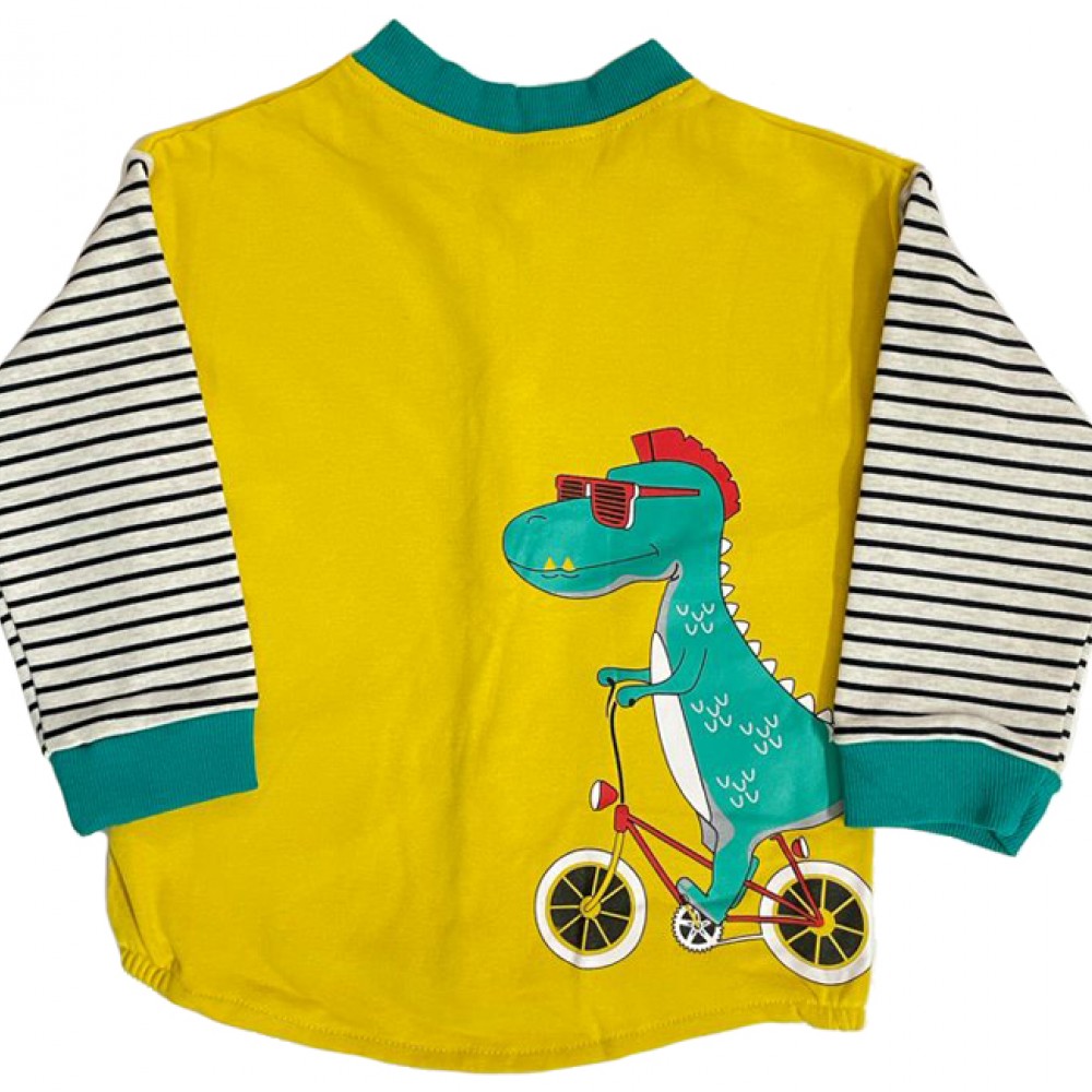 Dino Sweatshirt and Jeans set