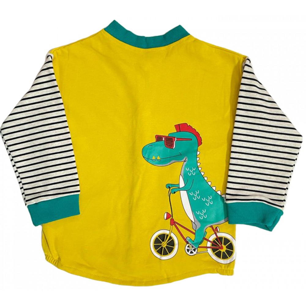 Dino Sweatshirt and Jeans set