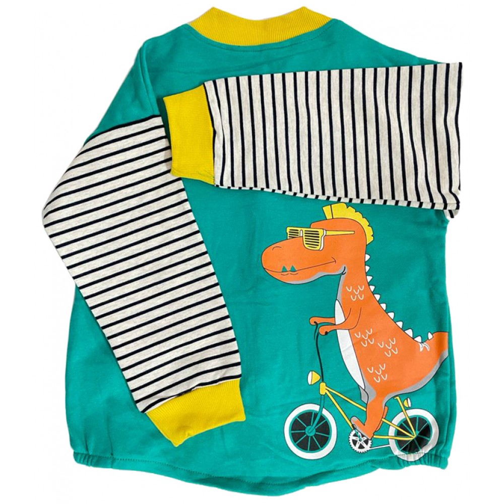 Dino Sweatshirt and Jeans set