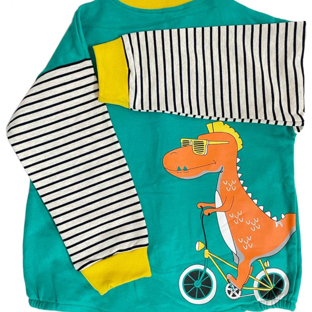 Dino Sweatshirt and Jeans set