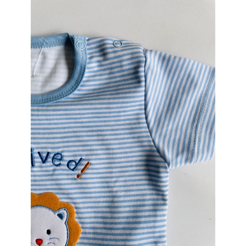 T-shirt & shorts set